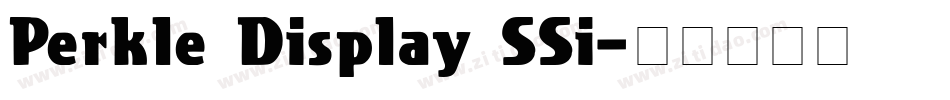 Perkle Display SSi字体转换